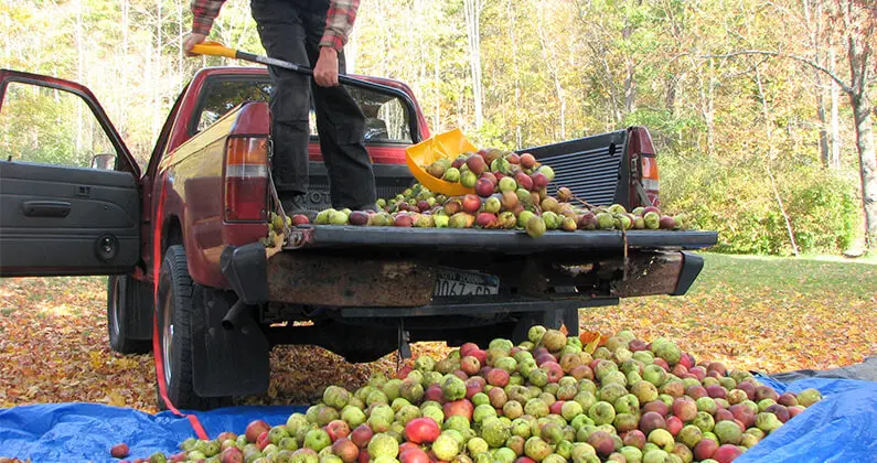 cider marketing