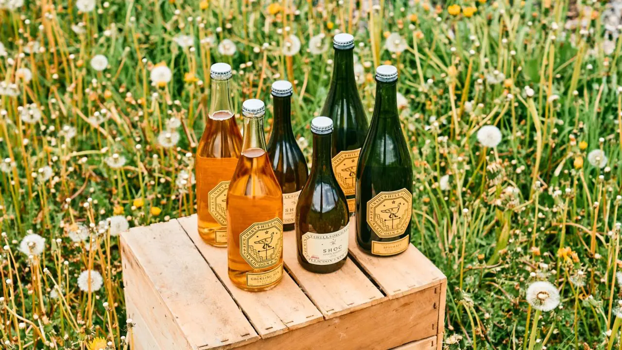 A Proudly Local, Intently Sustainable Cider Experience in the Catskills