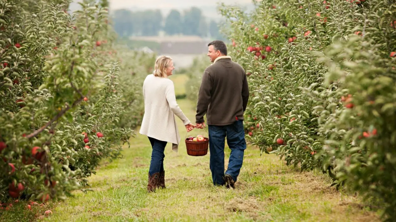 Will Travel For Cider