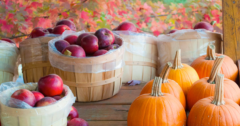 7 Fall-Inspired Ciders to Toast to the Harvest