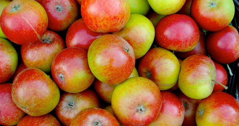 National Apple Month: 5 Facts You Might Not Know About Apples