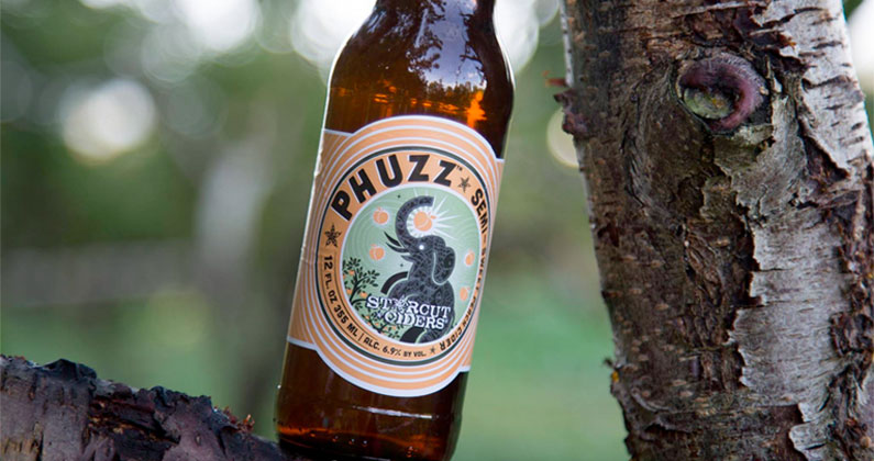 Starcut Cider Phuzz