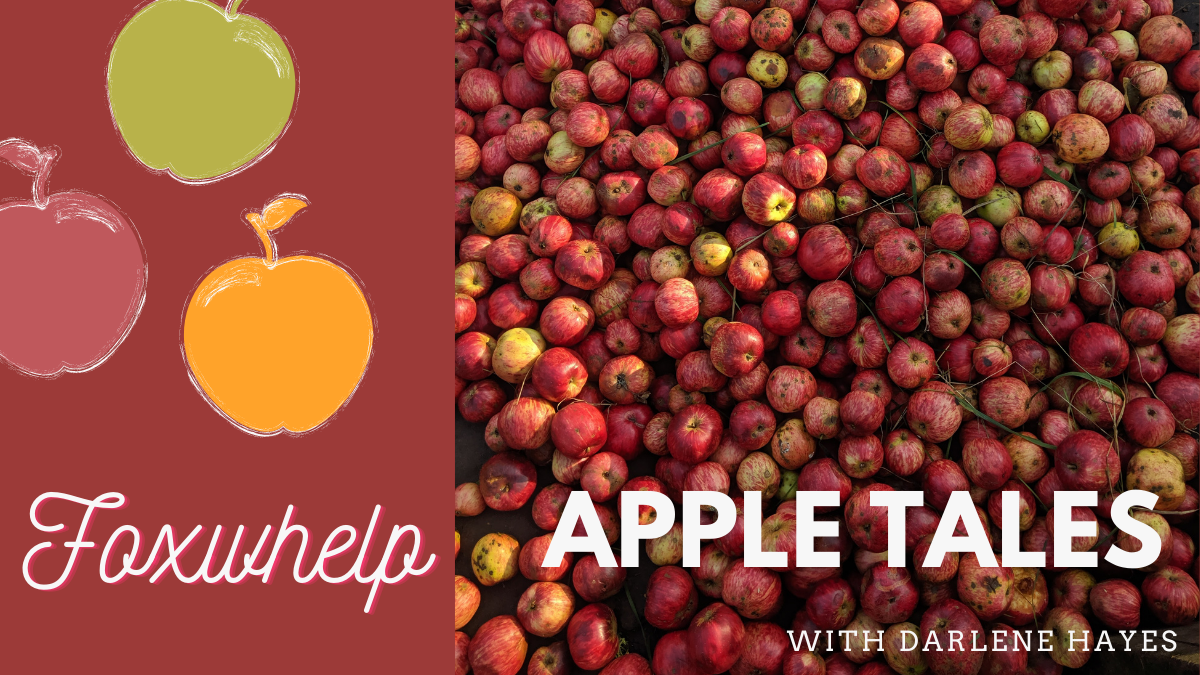 Foxwhelp – The Mysterious Apple with a Big Reputation