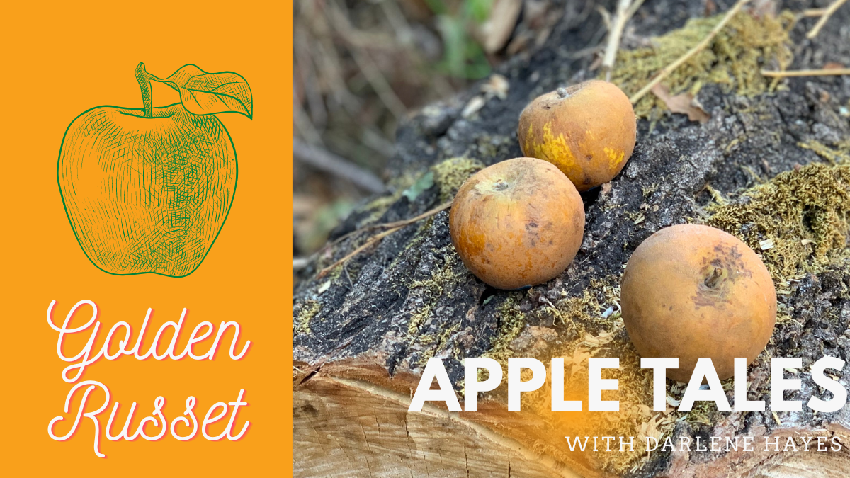 Golden Russet: An Apple of Many Names