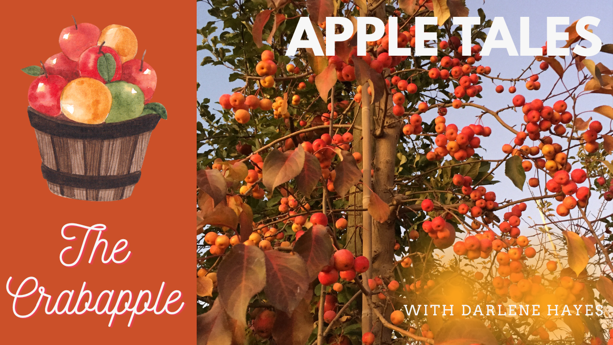 Crabapples: Once Unreliable, Now Embraced