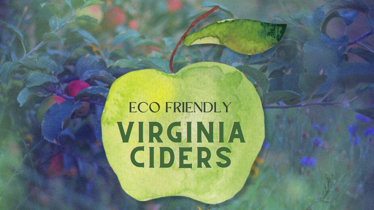 The Virginia Cider Scene is Alive and Well — and Eco-Friendly Too