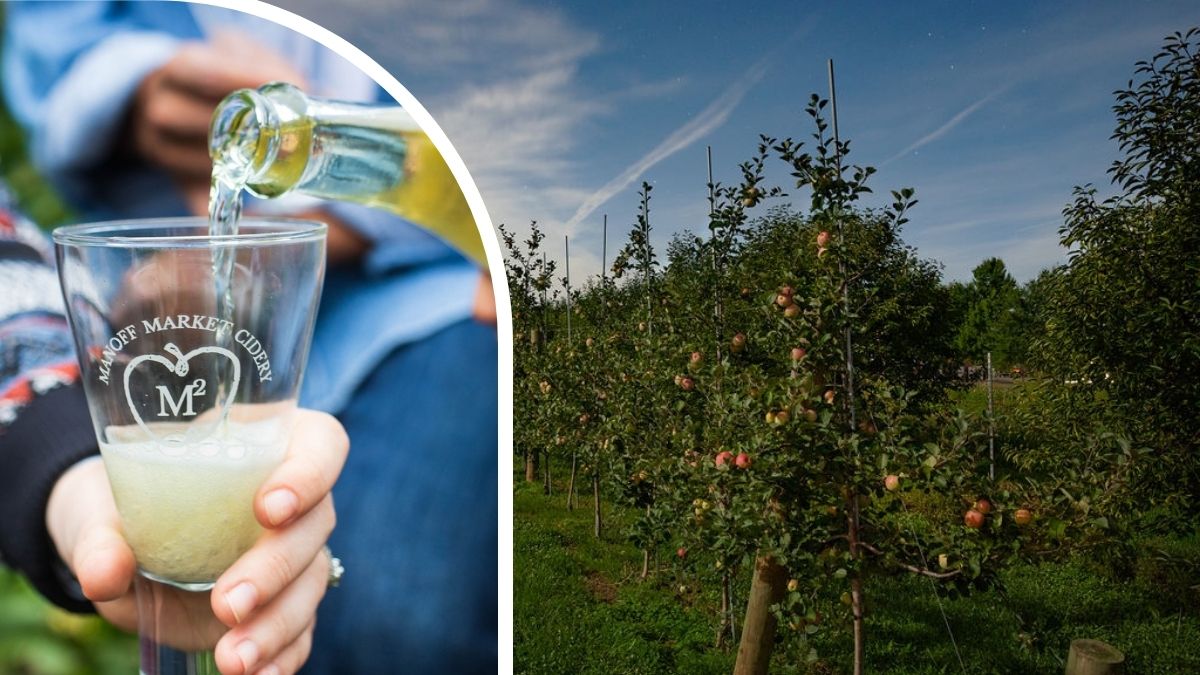 Growing cider culture: a family farm perspective with Manoff Market Gardens & Cidery