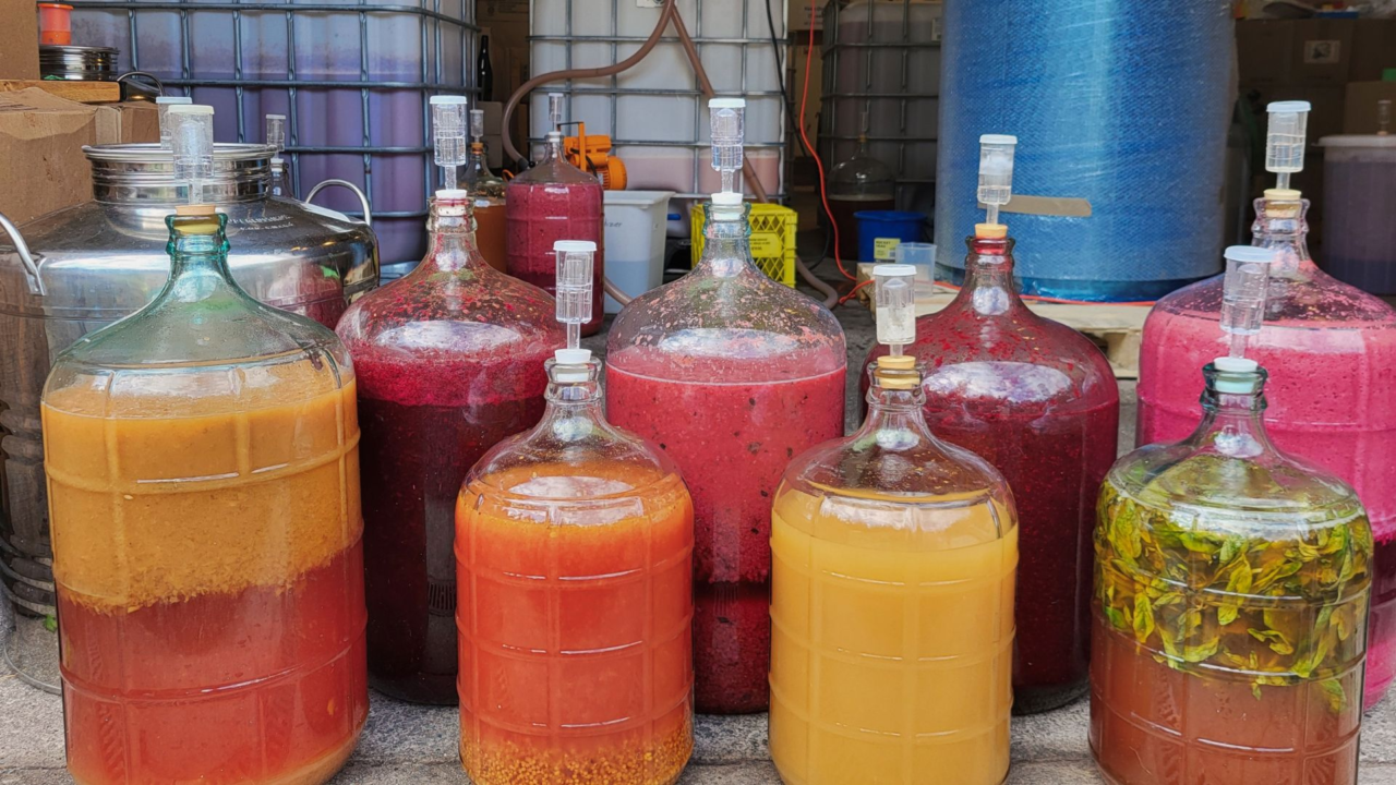 Regenerative Farmer Turned Cidermaker: Sara Stewart Launches Wildflower Cidery on Cortes Island