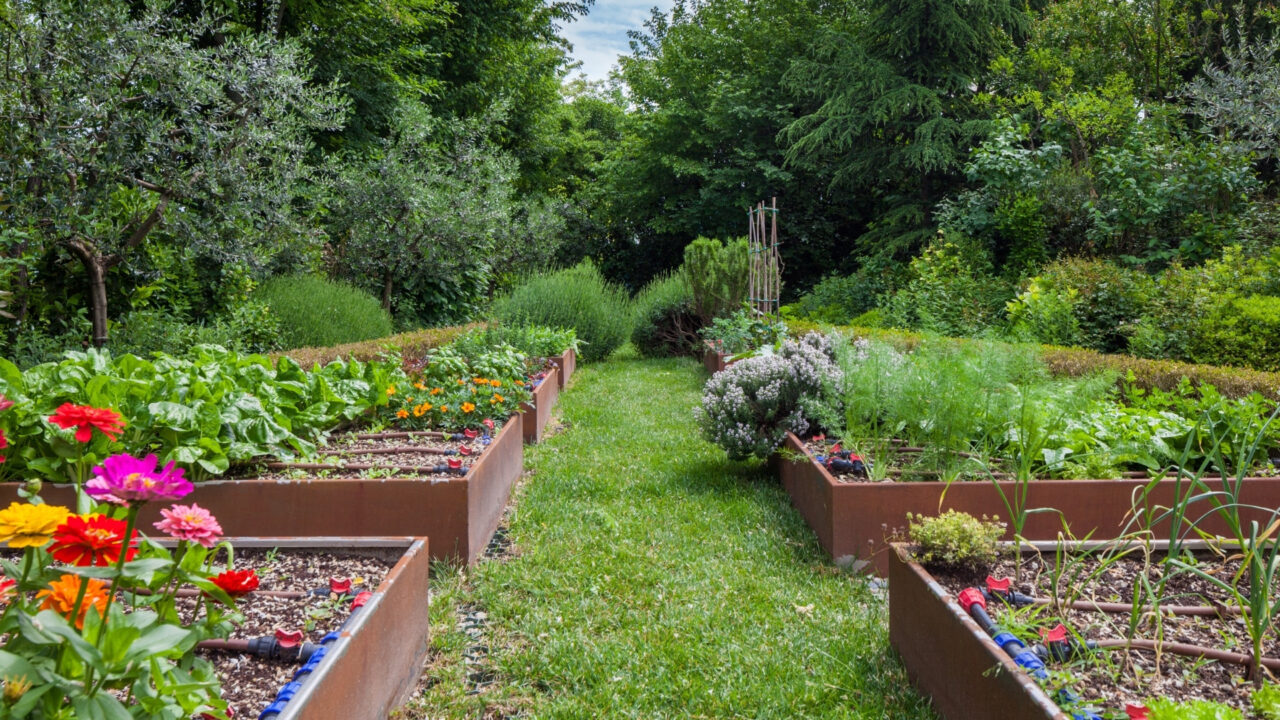 Grow Your Next Favorite Cider at Home